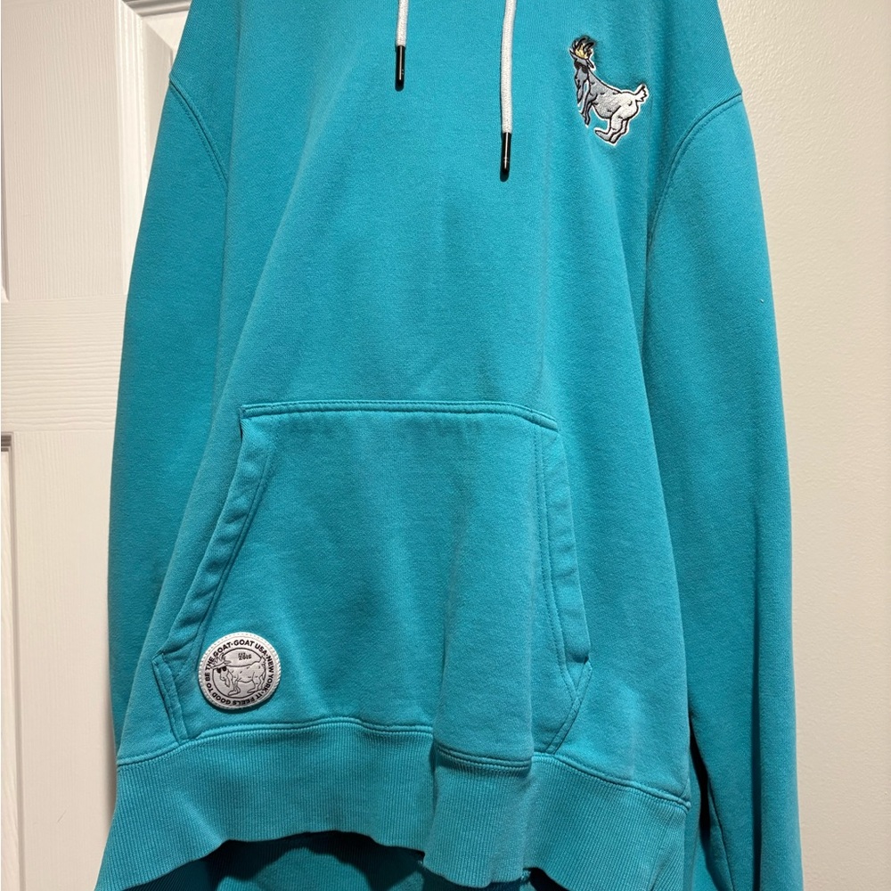 Kids Teal Graphic Hoodie with Pocket - Unknown Brand